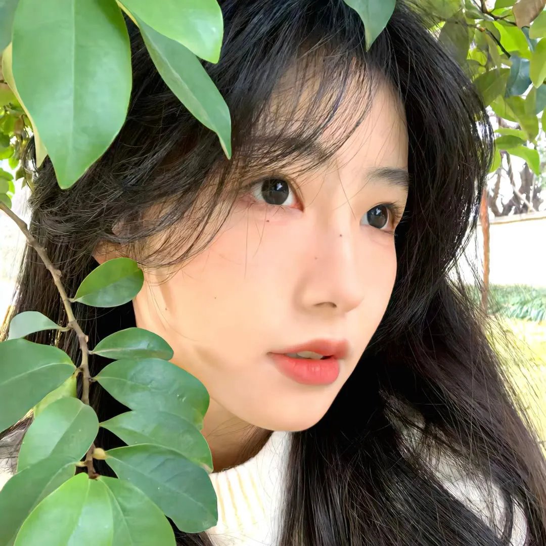 罪恶的编年史