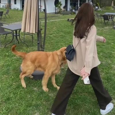 间奏曲